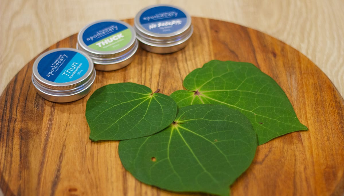 Treebrush Apothecary balms, and fresh kawakawa leaves